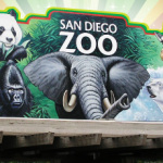 san-diego-zoo1